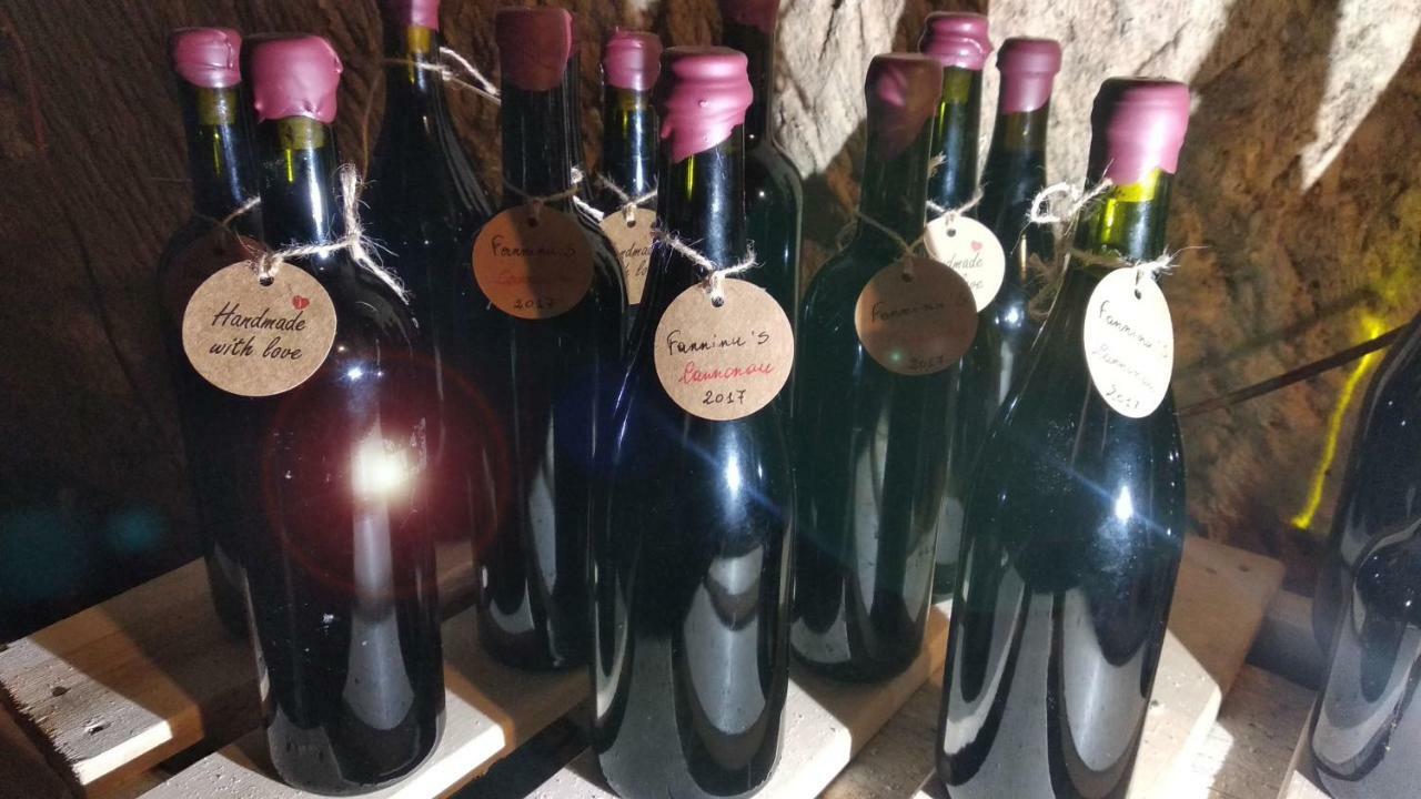 Casa Ele - The Alchemist'S House - Bikes Friendly - Sassari Luaran gambar